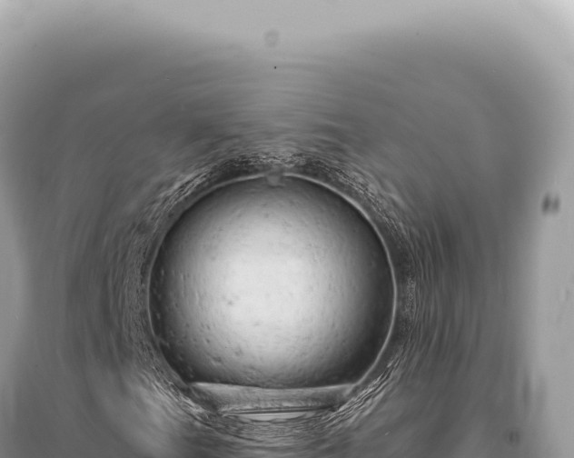 X0000095511201200712211232