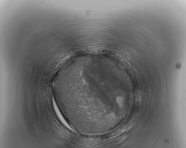 X0000095511202200712211232