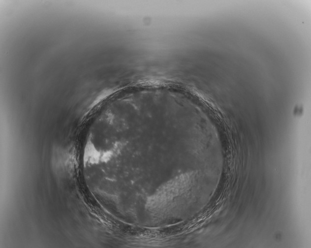 X0000095511206200712211232