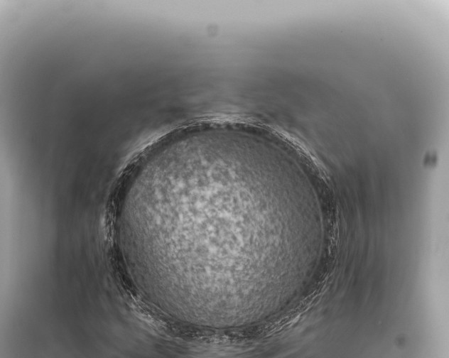 X0000095511207200712211232