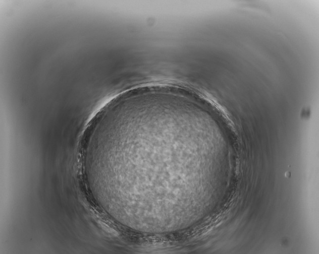 X0000095511208200712211232