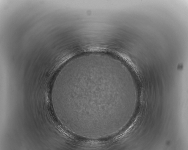 X0000095511209200712211232