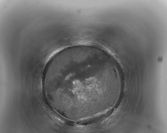 X0000095511214200712211232