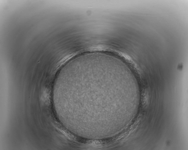 X0000095511217200712211232