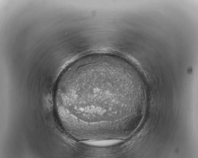 X0000095511218200712211232