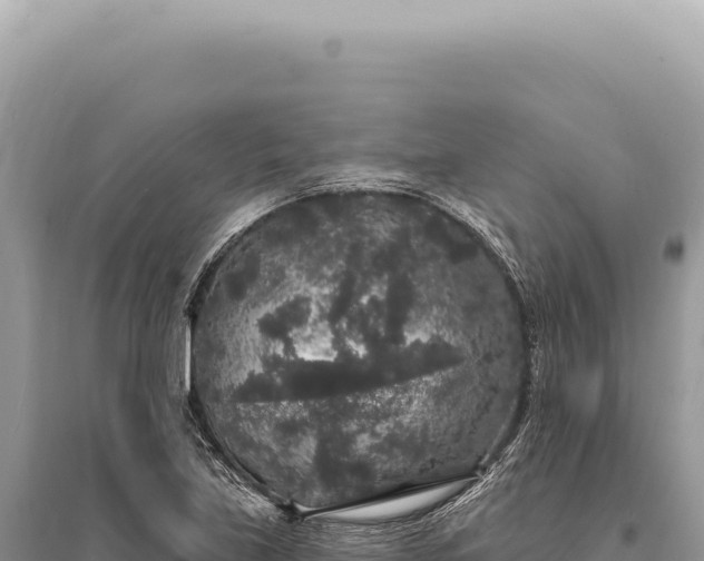 X0000095511219200712211232
