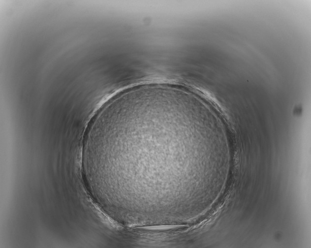 X0000095511220200712211232