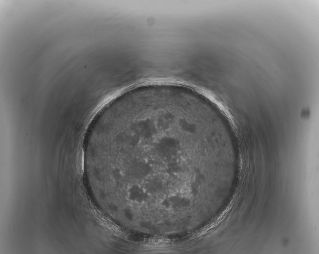X0000095511221200712211232