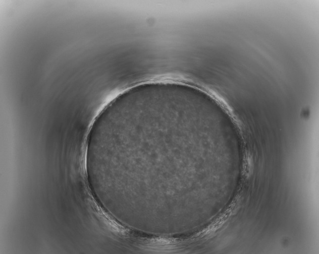 X0000095511224200712211233