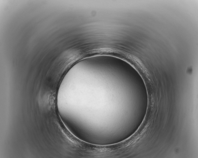 X0000095511225200712211233