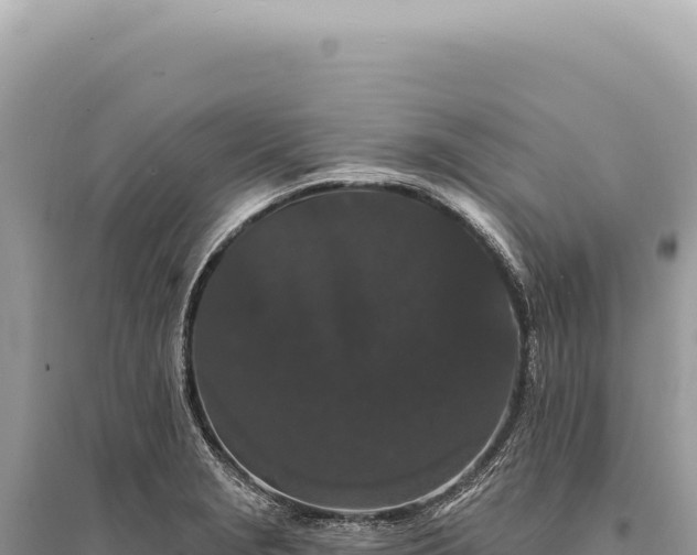 X0000095511229200712211233