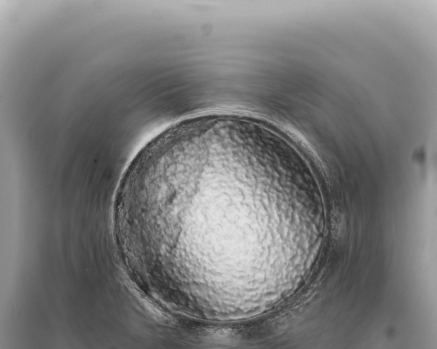 X0000095511230200712211233
