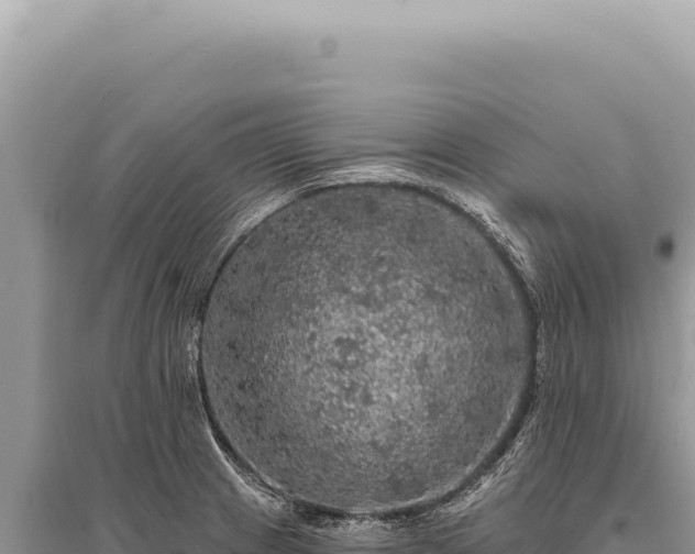 X0000095511233200712211233