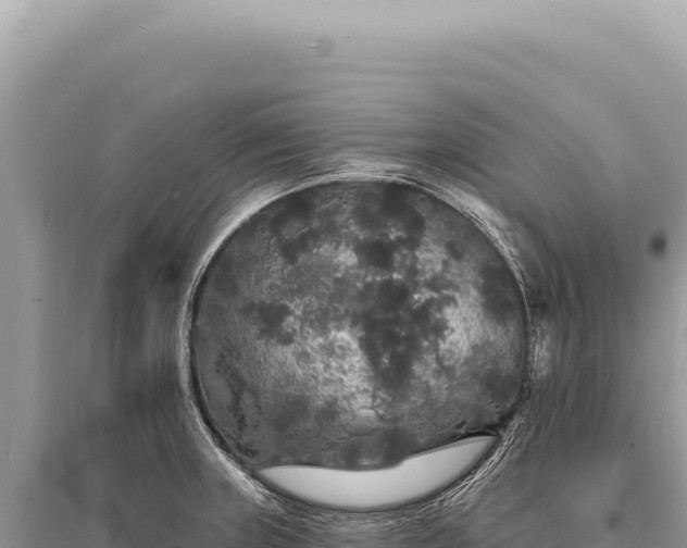 X0000095511235200712211233