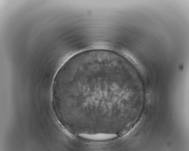X0000095511236200712211233