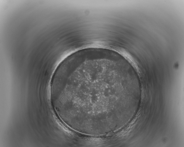 X0000095511238200712211233