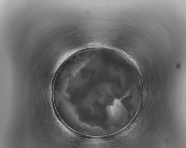 X0000095511239200712211233