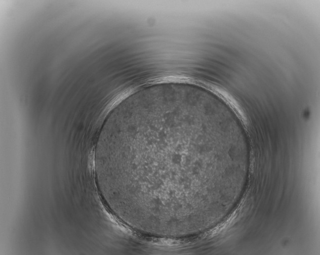 X0000095511241200712211233
