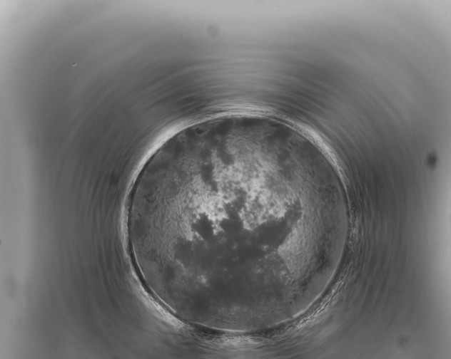 X0000095511243200712211233