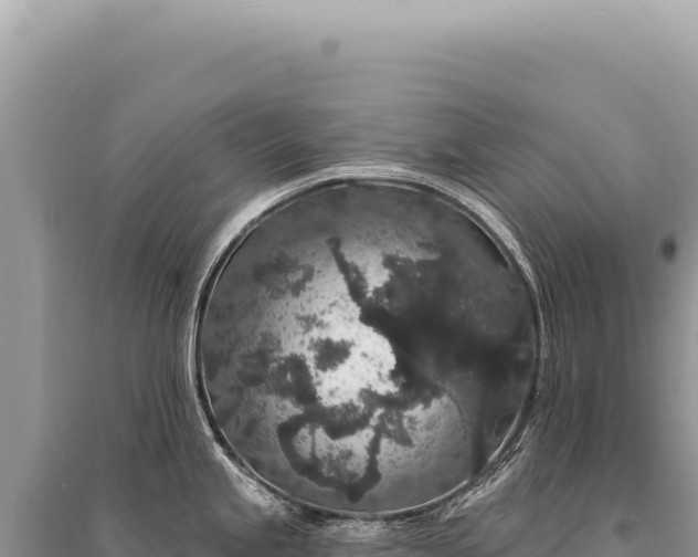 X0000095511245200712211233