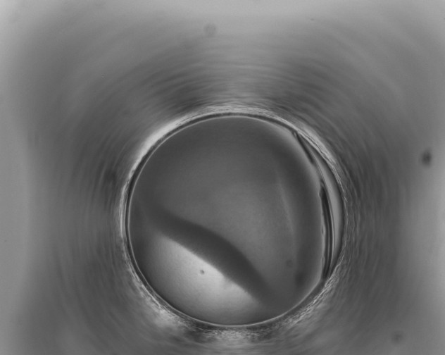 X0000095511246200712211233