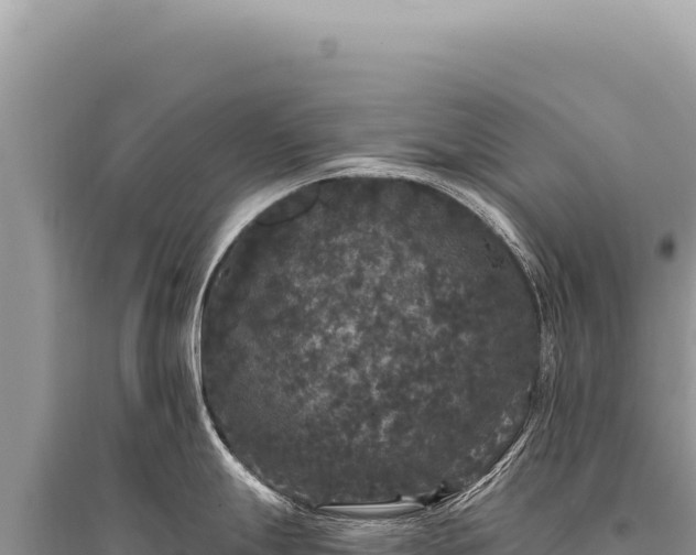 X0000095511247200712211233