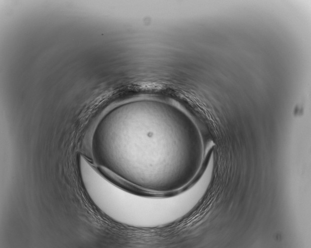X0000095511249200712211232