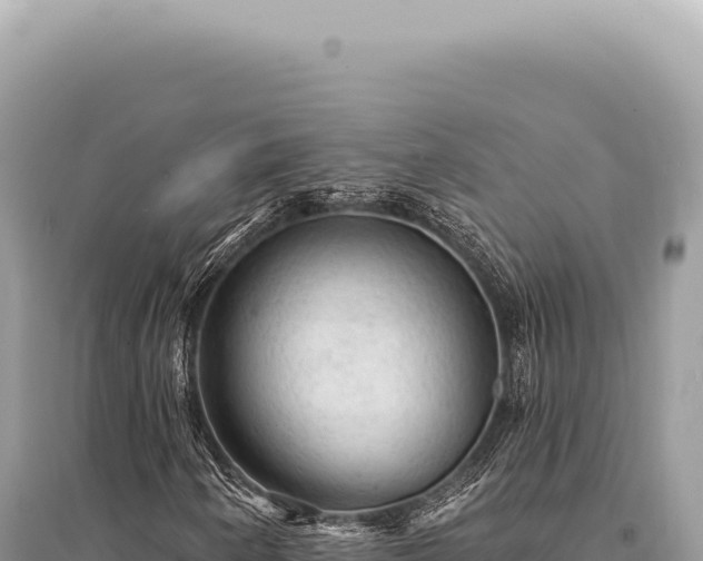 X0000095511250200712211232