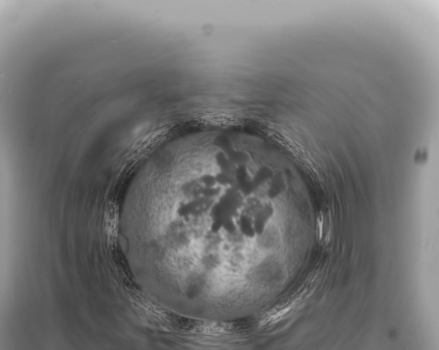 X0000095511251200712211232