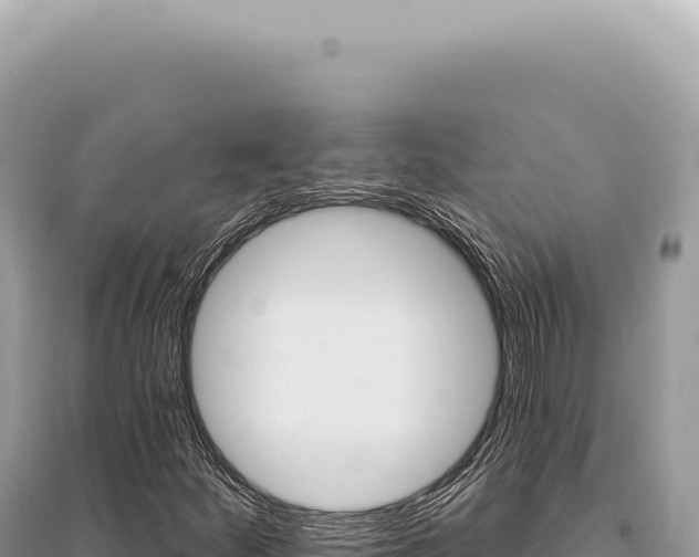 X0000095511252200712211232
