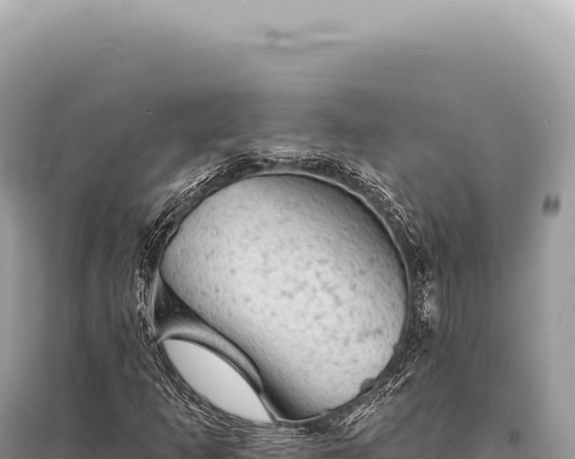 X0000095511253200712211232