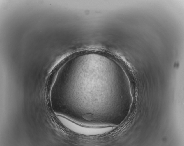 X0000095511256200712211232