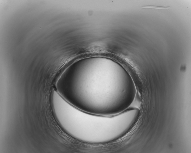 X0000095511257200712211232