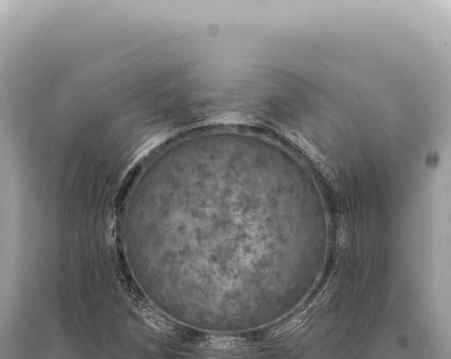 X0000095511258200712211232