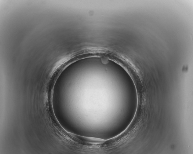 X0000095511261200712211232