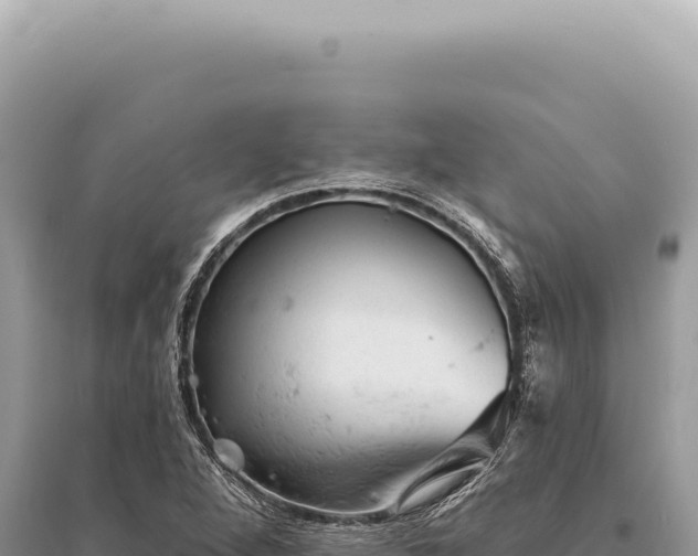 X0000095511264200712211232