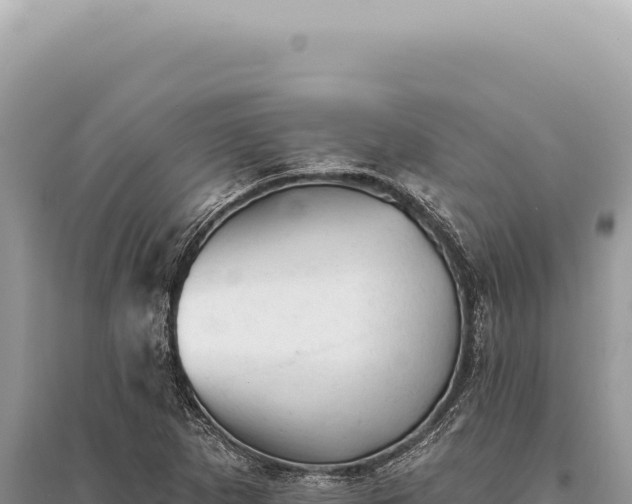 X0000095511265200712211232