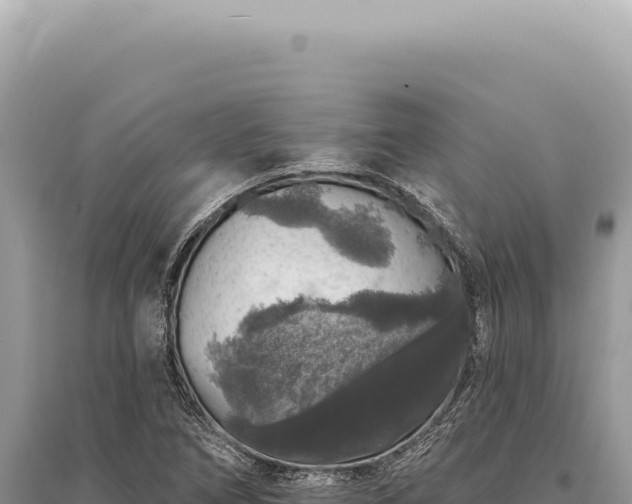 X0000095511266200712211232