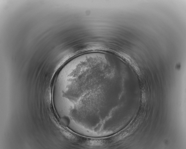 X0000095511274200712211232