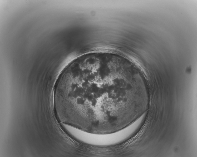 X0000095511275200712211232