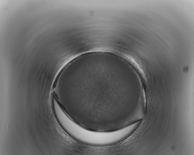 X0000095511276200712211232