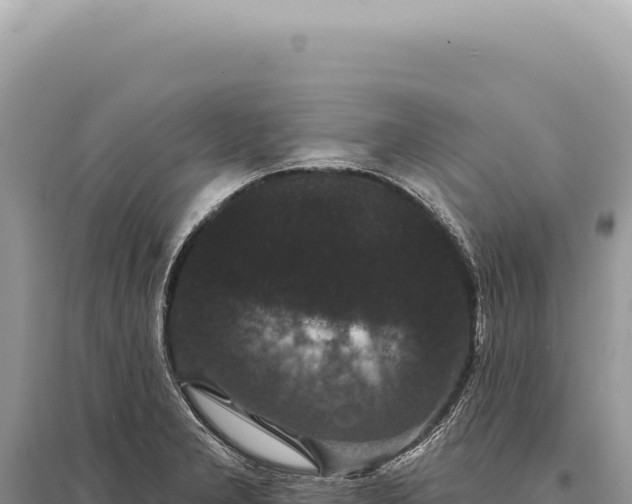 X0000095511277200712211232