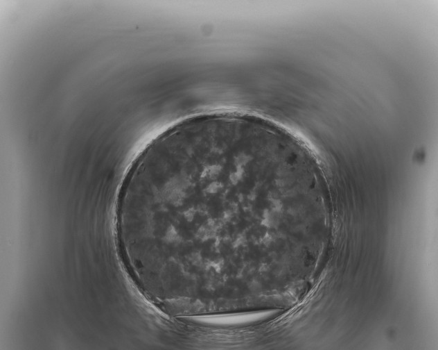 X0000095511279200712211232