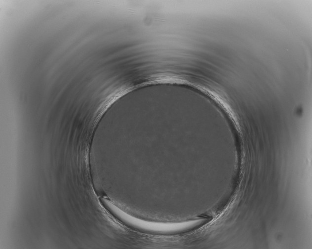 X0000095511281200712211232