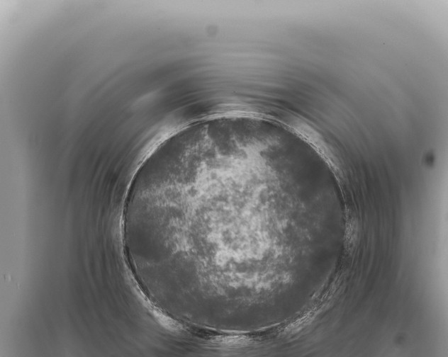 X0000095511282200712211232