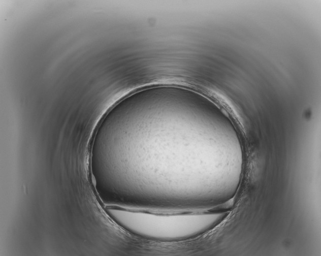 X0000095511284200712211232