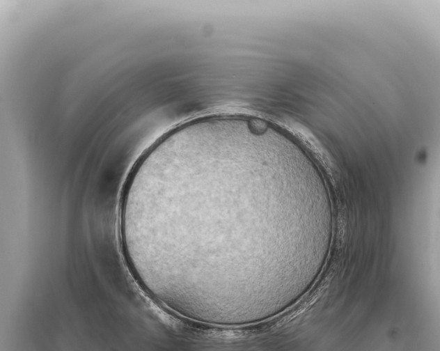 X0000095511286200712211232