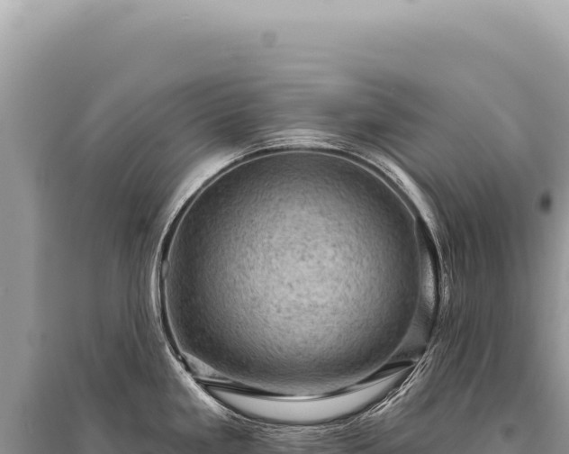 X0000095511293200712211232