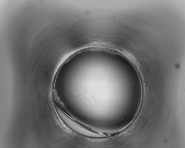 X0000095511296200712211232