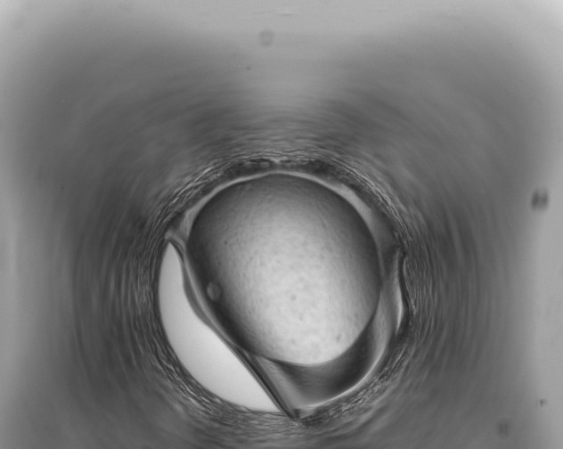 X0000095511298200712211231
